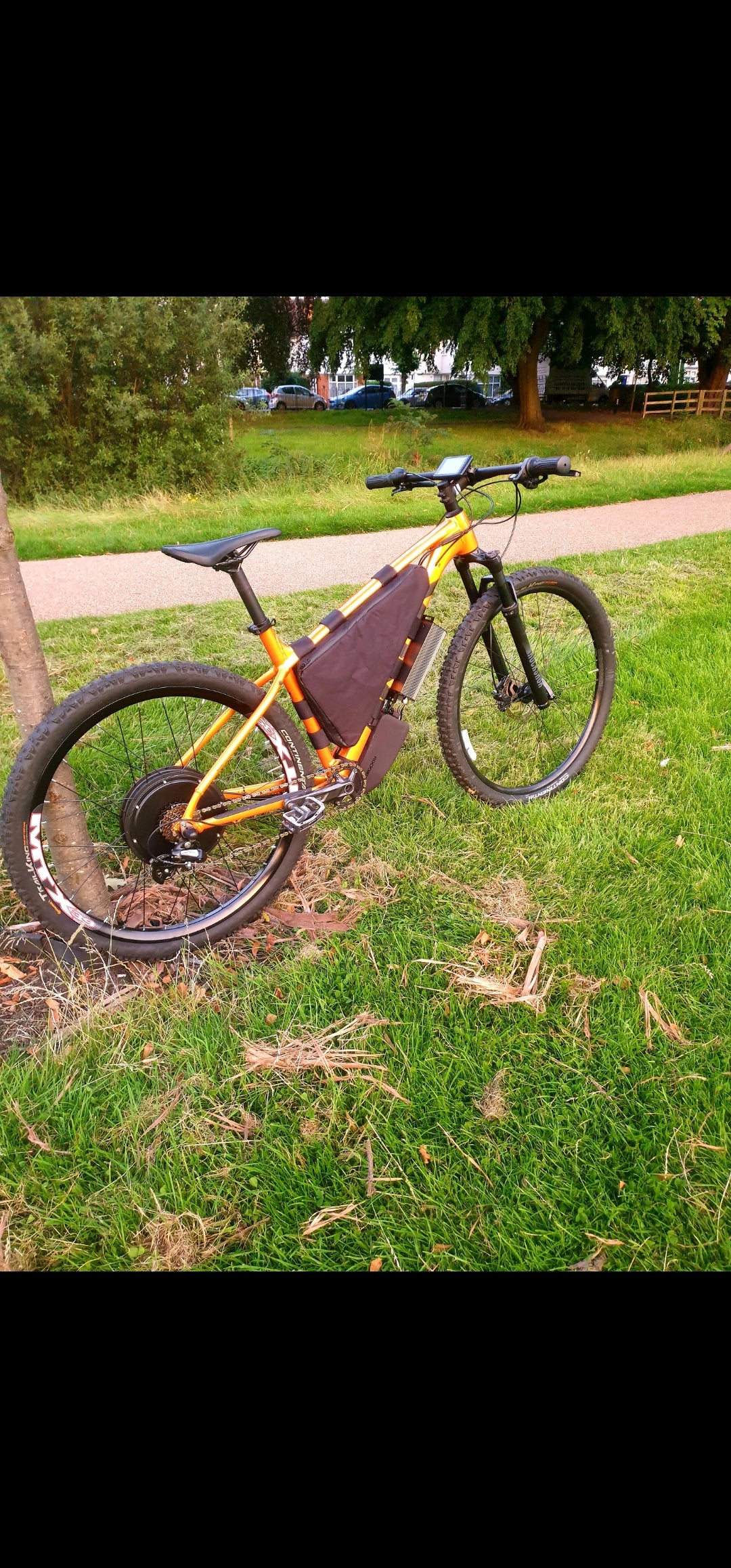 Ebike battery bag